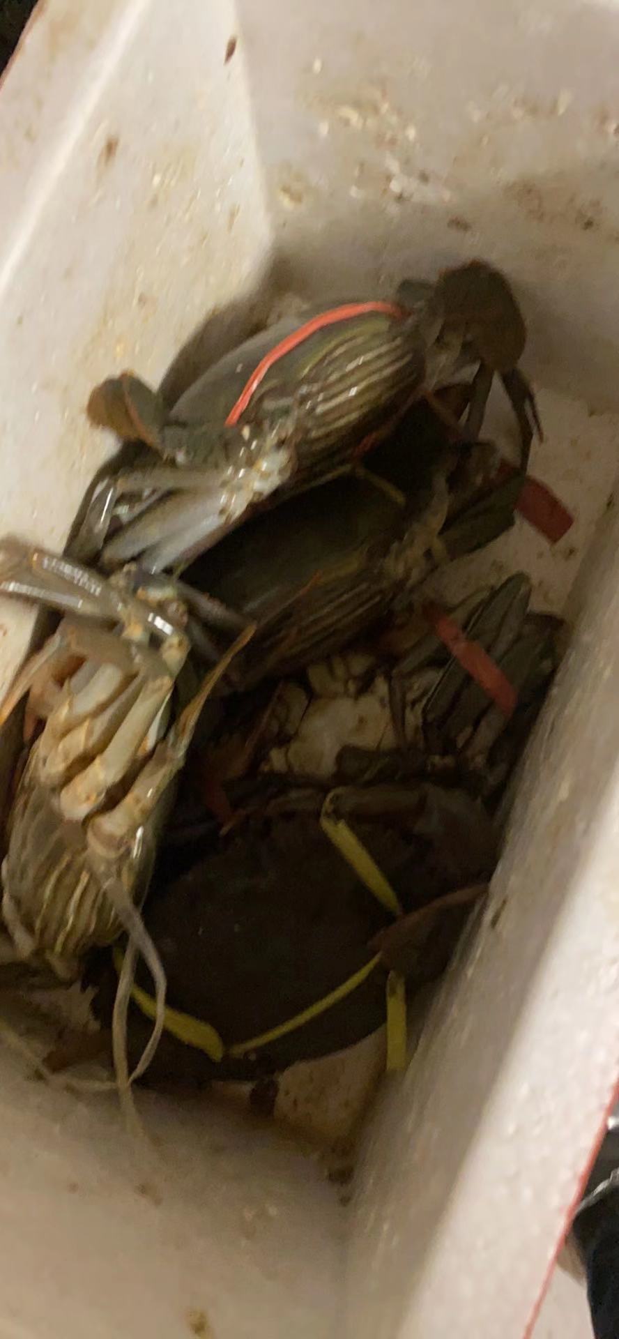 在京东购买螃蟹到货全死不提供售后服务要求赔付
