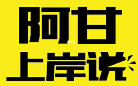 阿甘上岸说