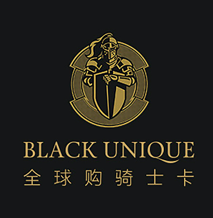 全球骑士购