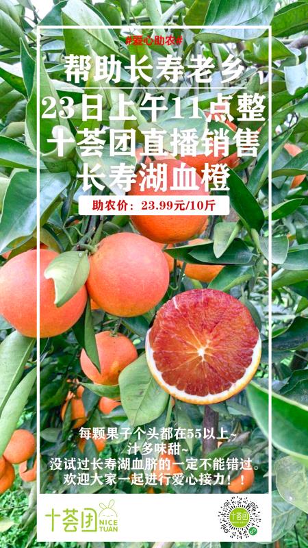 十荟团联系不到团长退款不处理