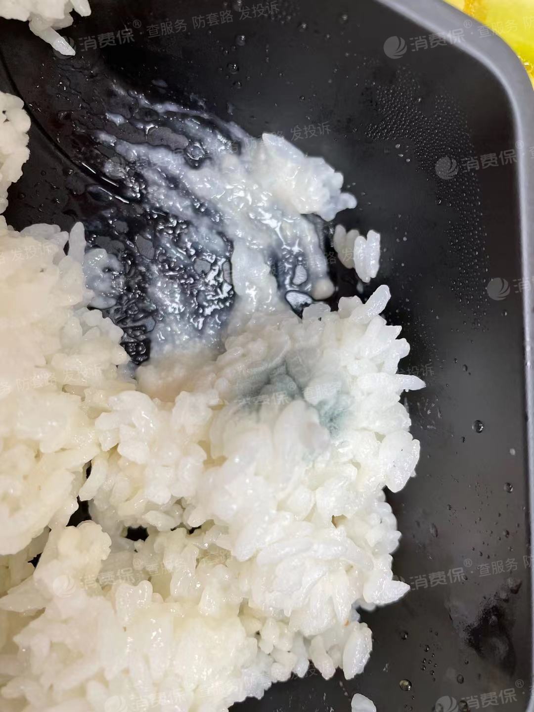 投诉便利蜂售卖的盒饭里米饭发霉危害身体健康