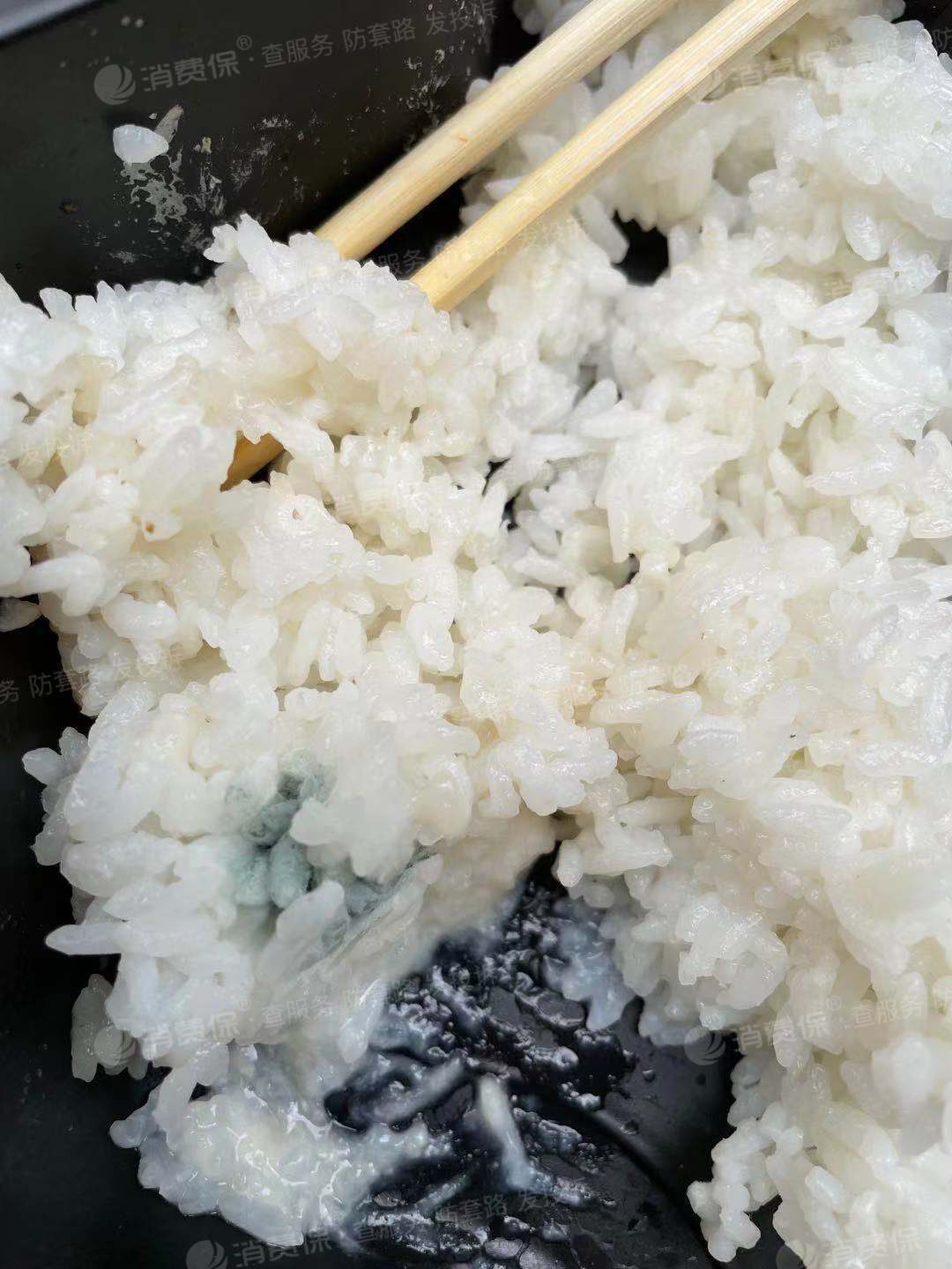 变质的米饭图片