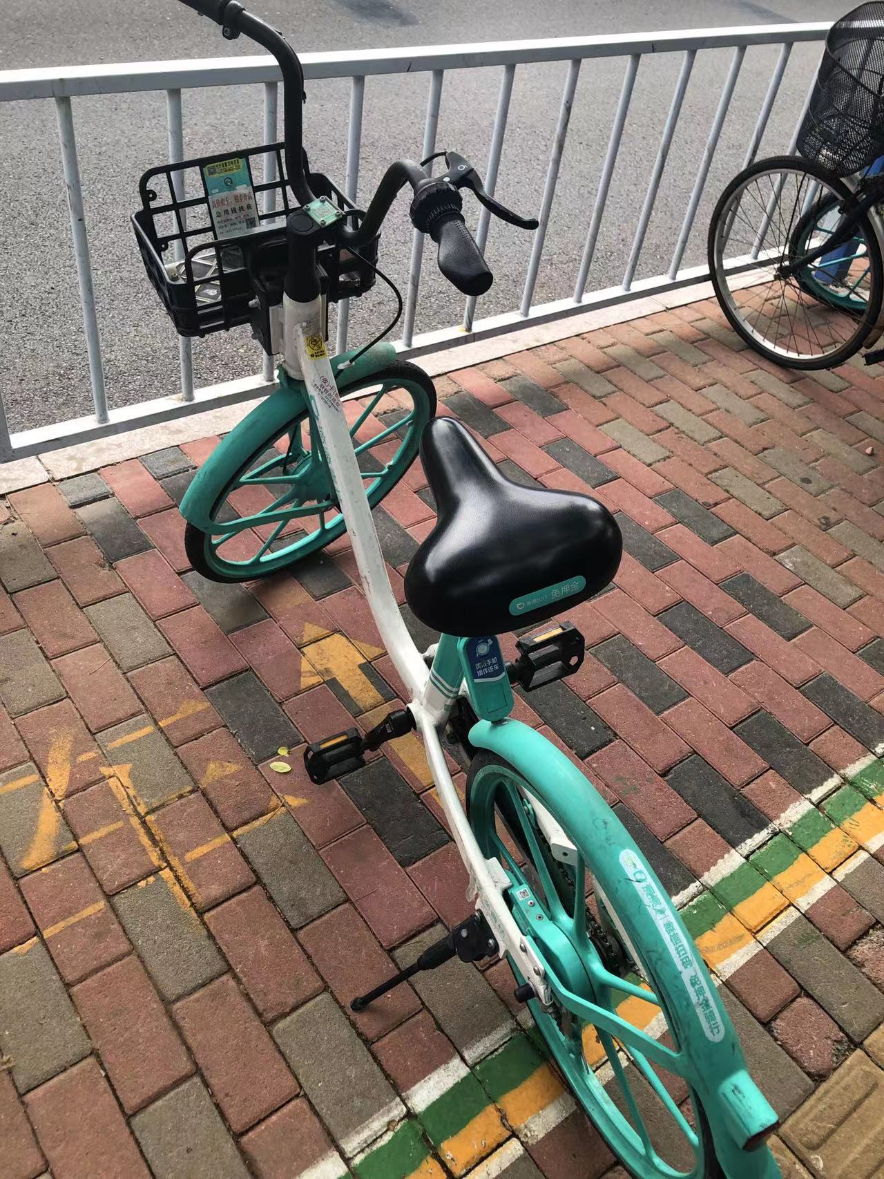 青桔单车收费问题