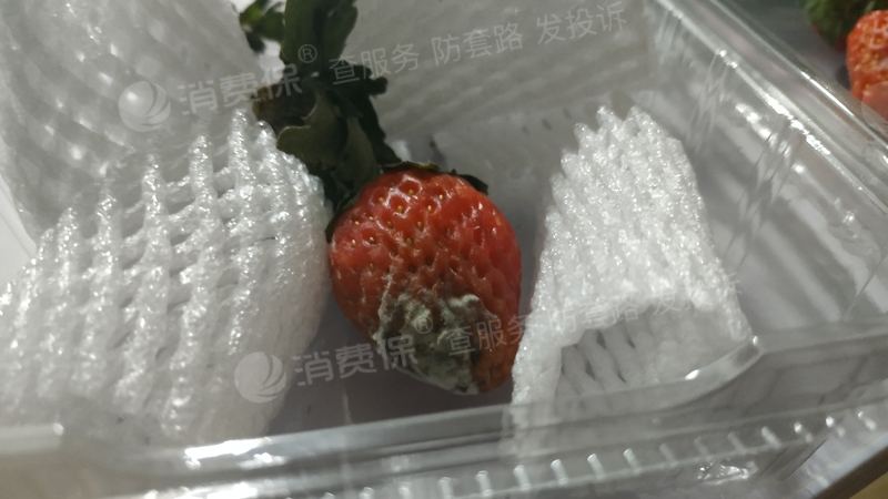收货当天就发现草莓表面有白色霉菌当晚发起第一次退款被拒第二天草莓
