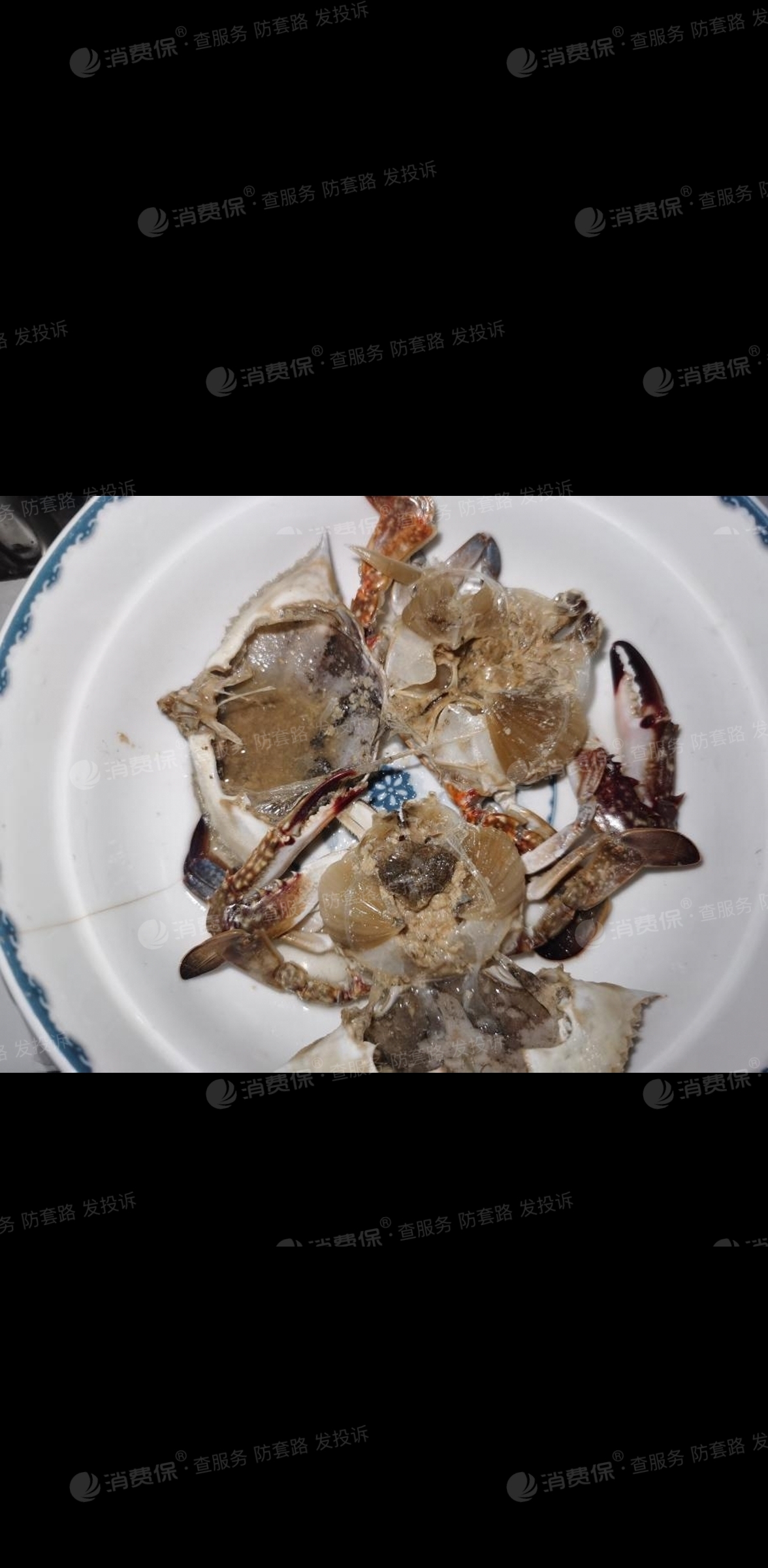 购买的螃蟹到货后发现发臭商家拒绝退款,客_淘宝网客服售后投诉维权