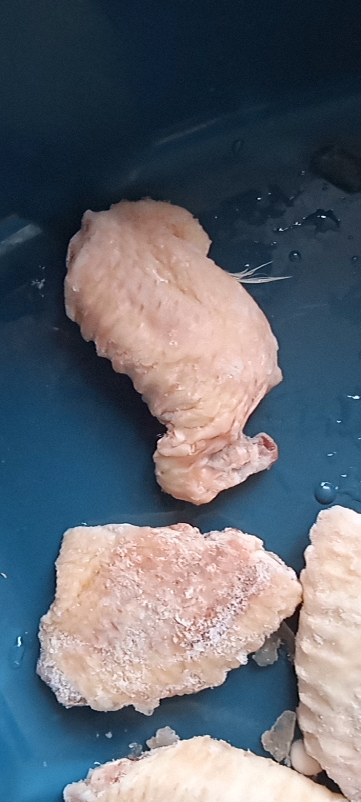 拼多多买菜冷冻鸡翅货不对版销售质量问题鸡翅