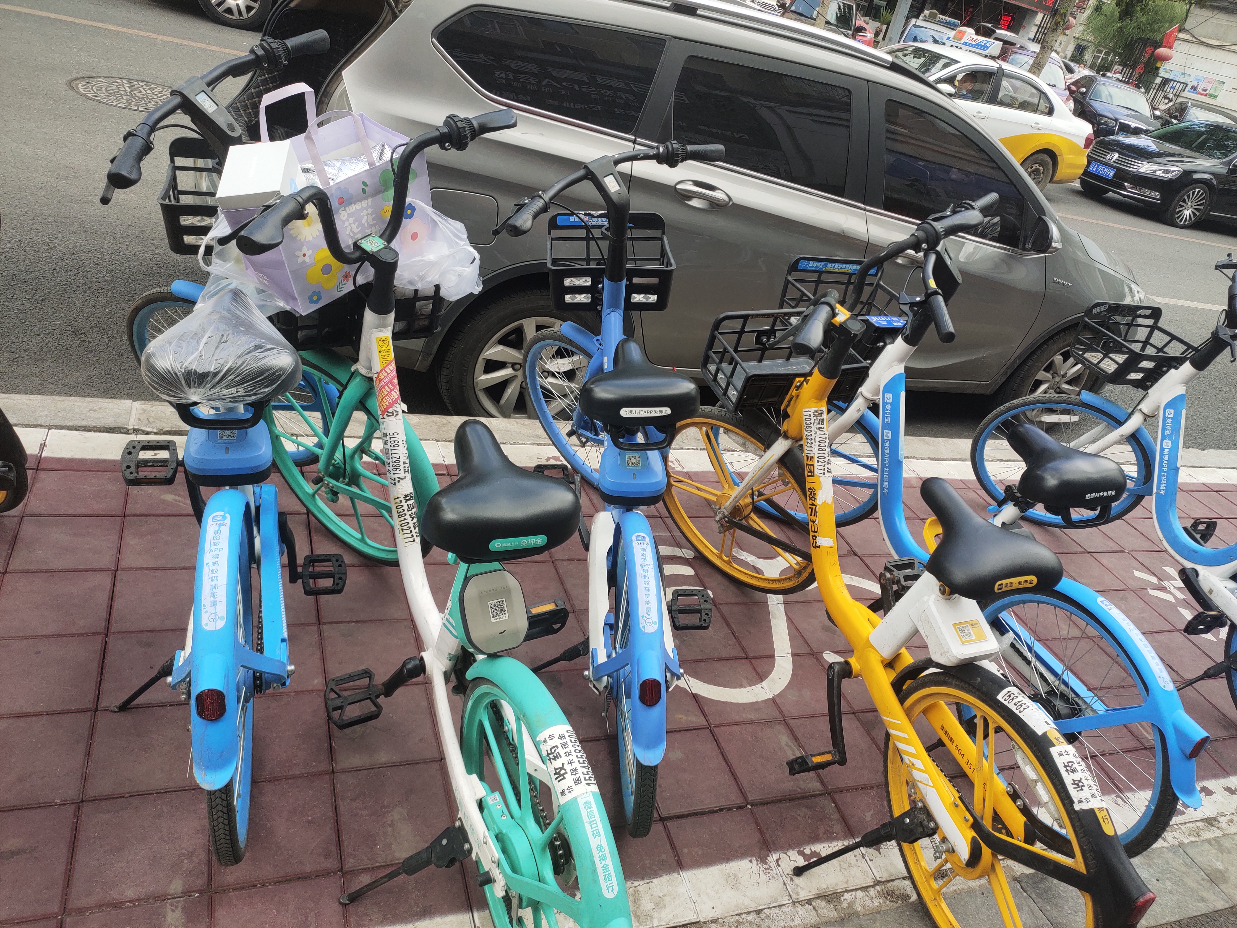 杭州青桔单车图片