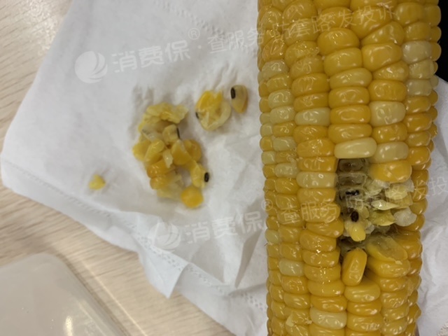 玉米坏了图片大全图片