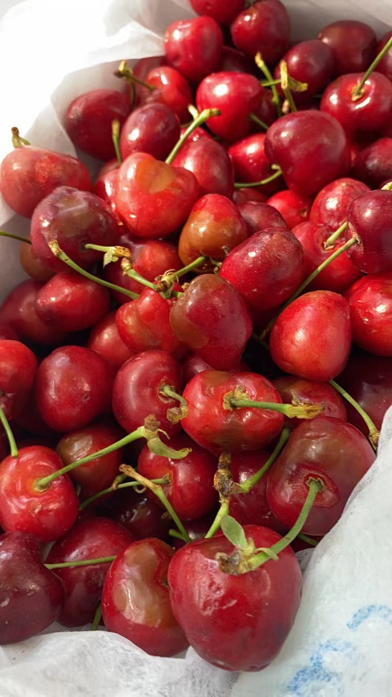 德邦9箱樱桃价值1890元到了上海全部变质