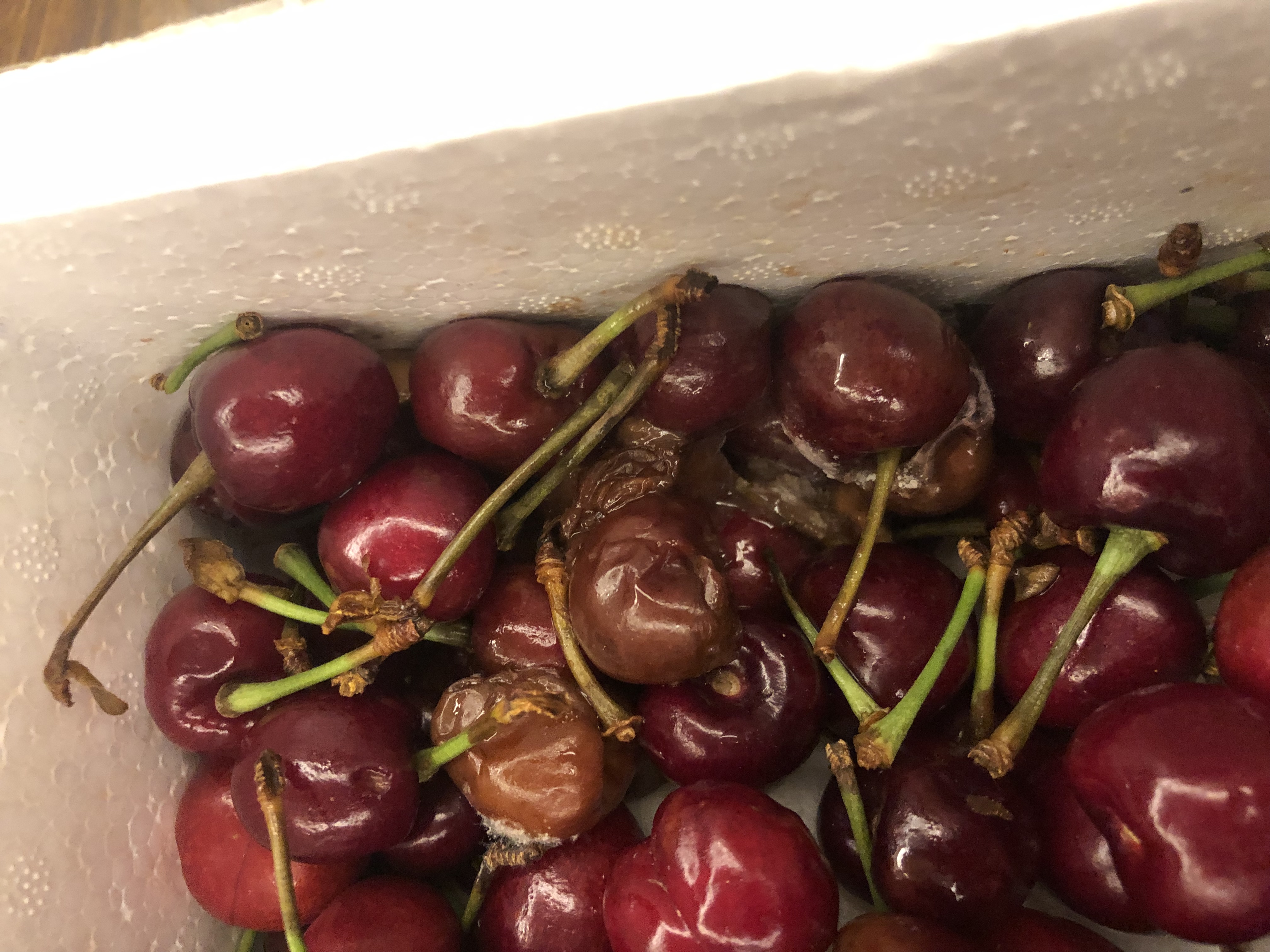 千千惠卖烂樱桃客户收到烂水果后以签收快递超过12小时后不处理拒绝