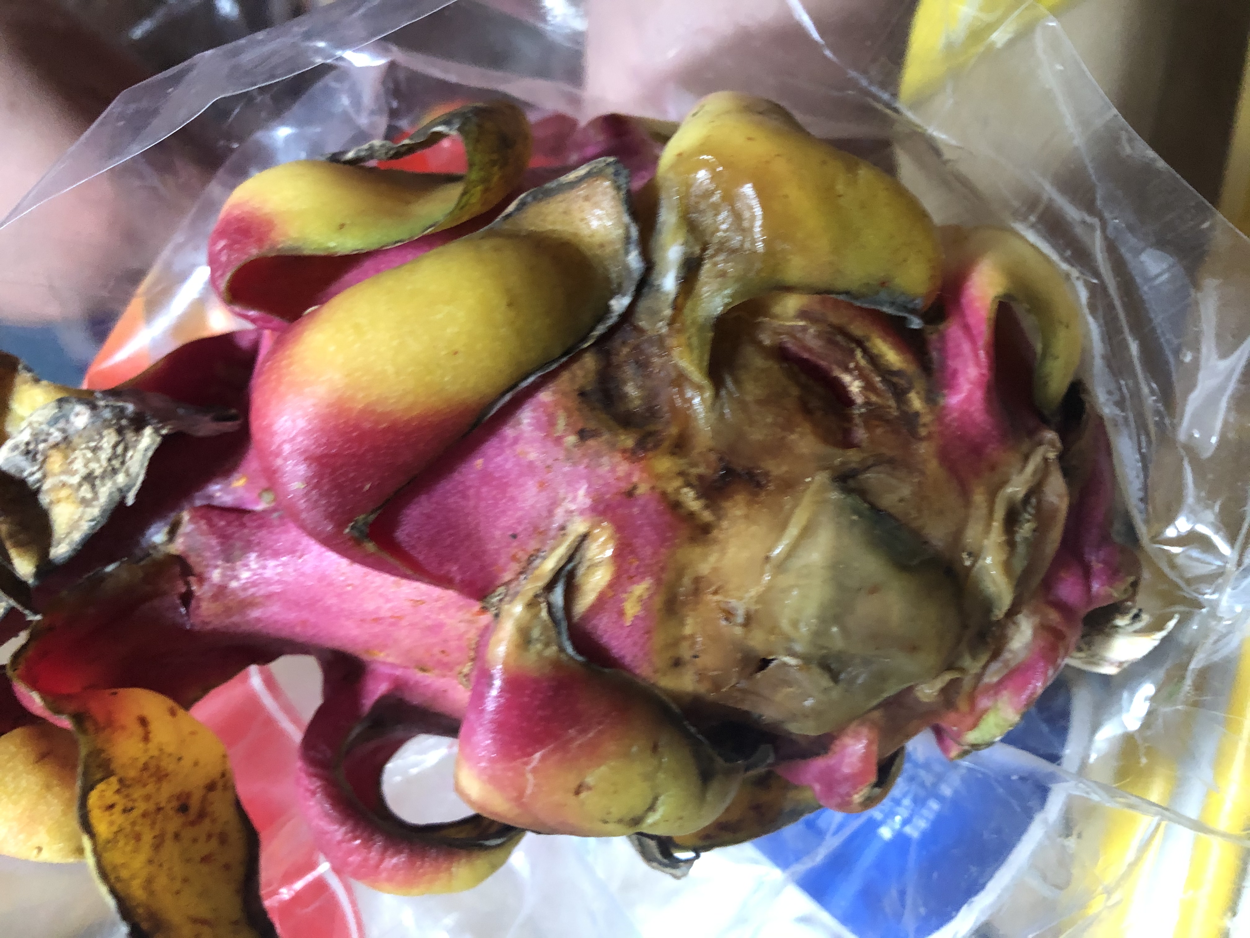 投诉京东的生鲜问题本批次火龙果质量有问题一周在冰箱内全烂