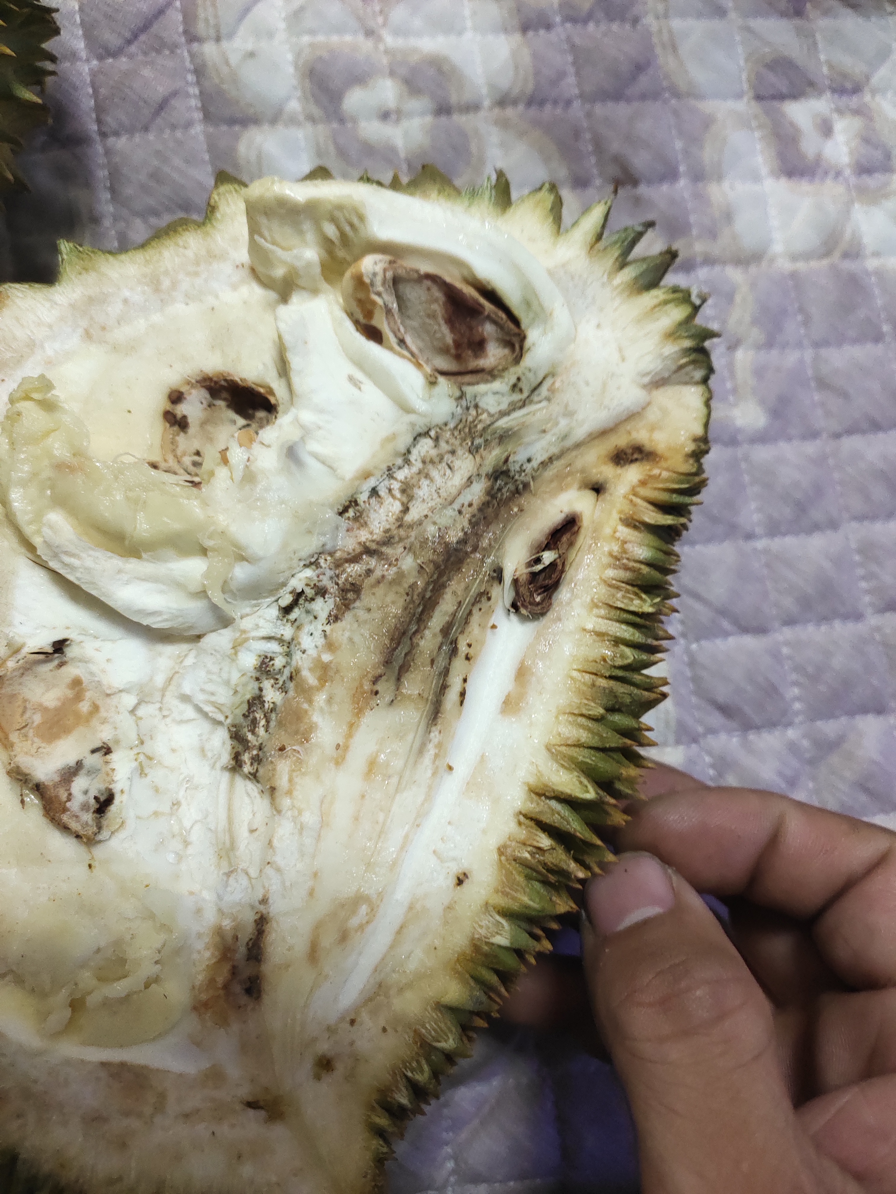 【已解释】3月31号在萌推买的榴莲,4月9号刚收到_萌推客服售后投诉