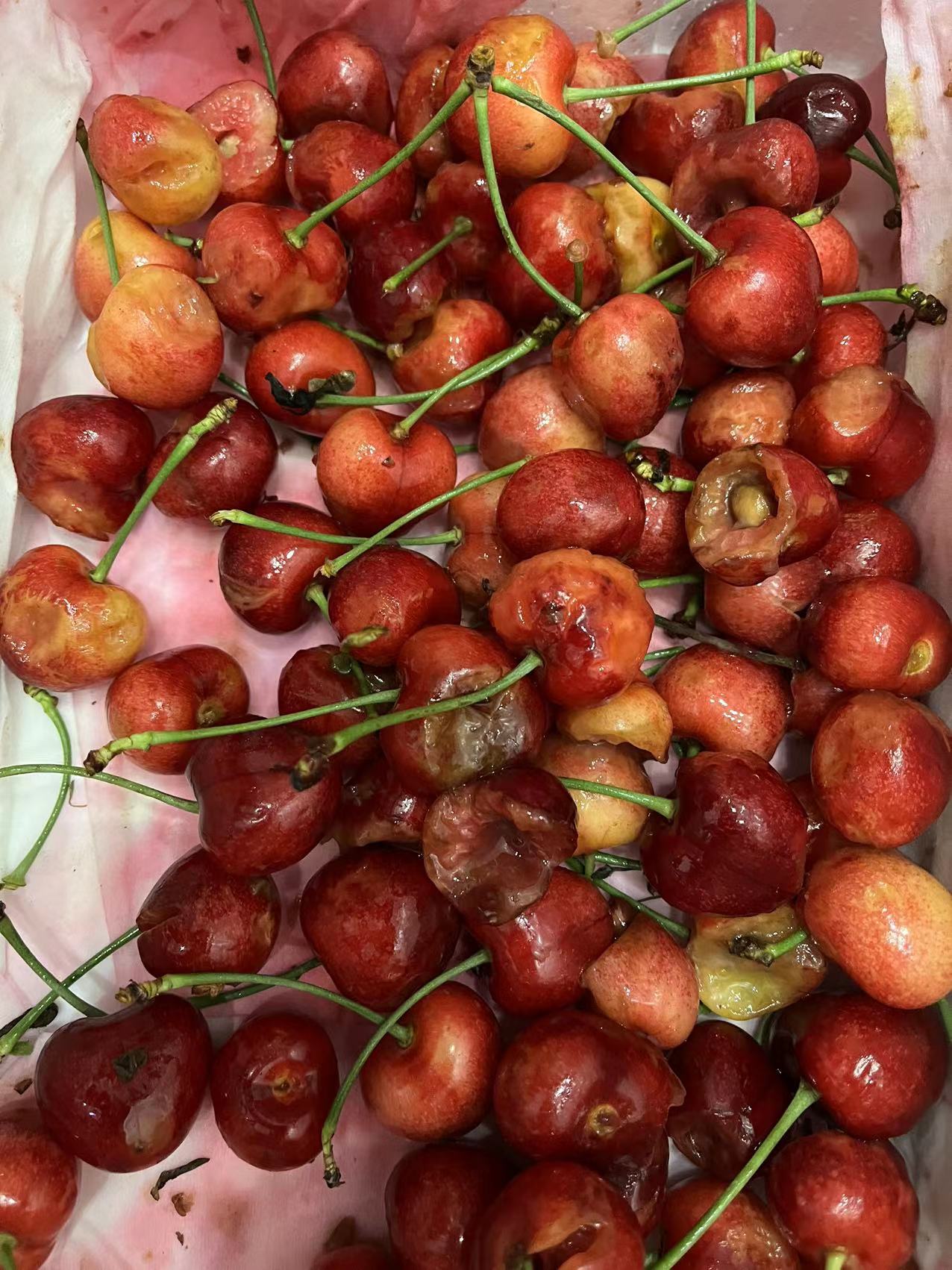 樱桃烂了,不给理赔._京东物流客服售后投诉维权中心-315消费保