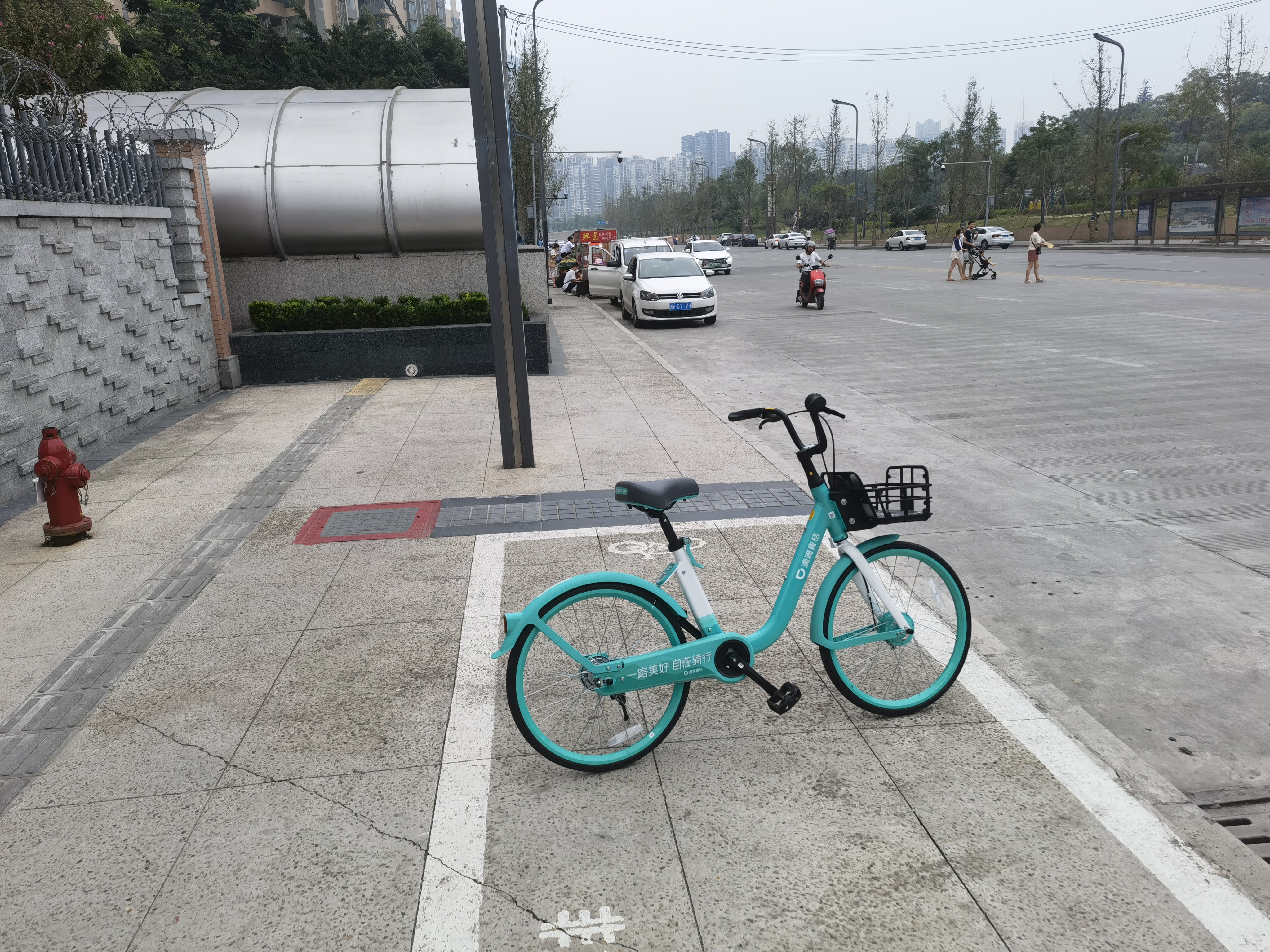 杭州青桔单车图片