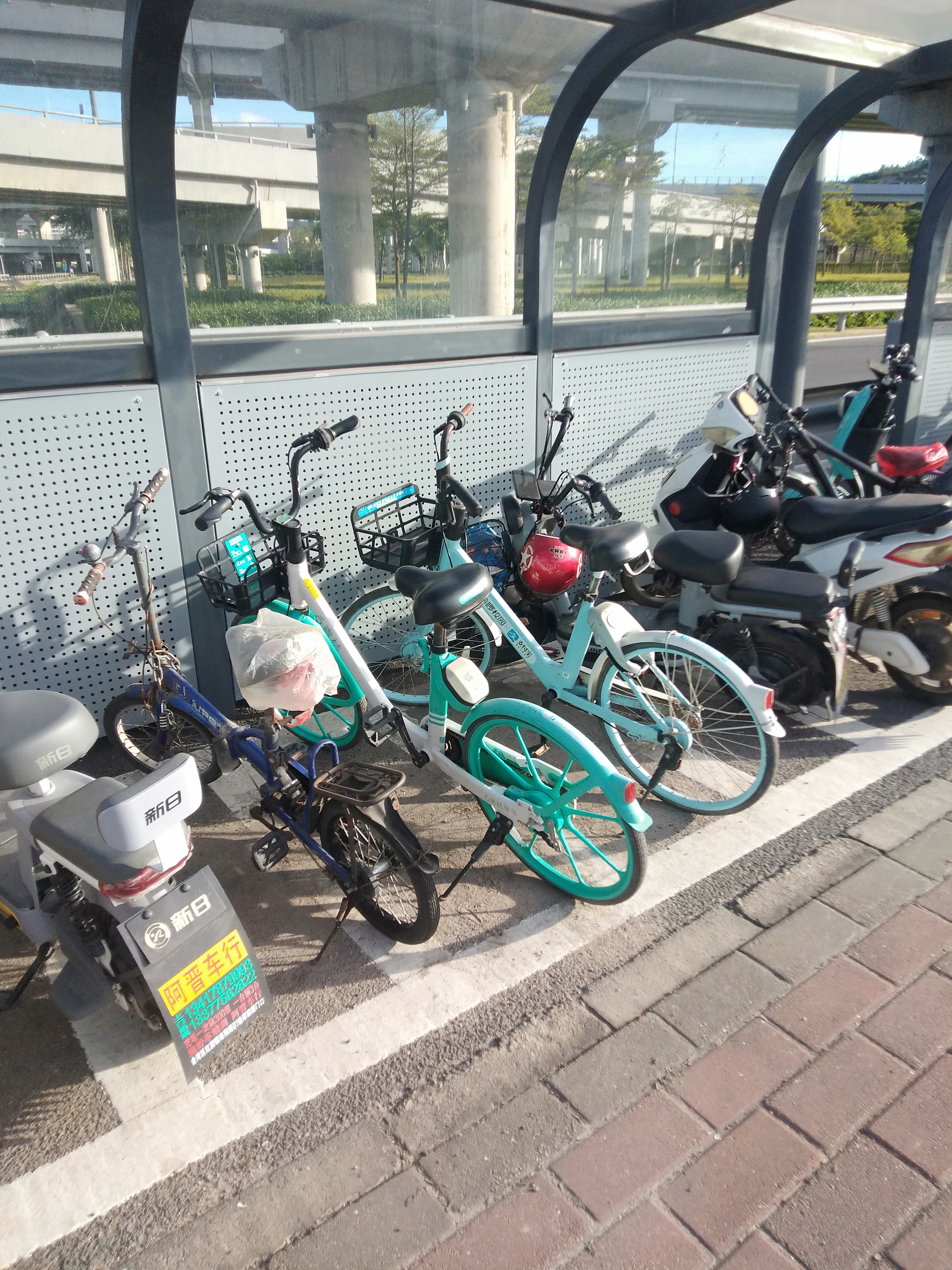 青桔单车收费问题