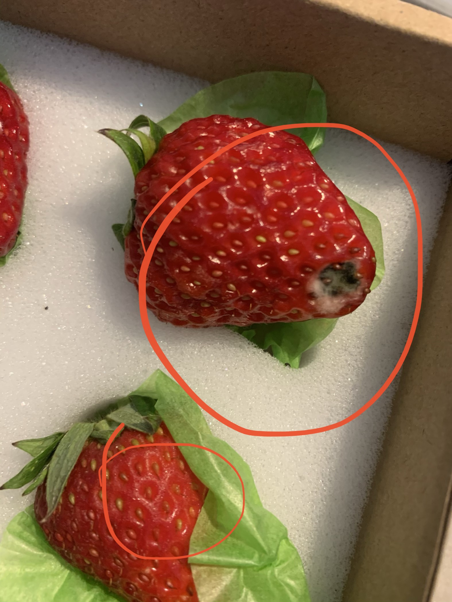 每日优鲜送来发霉变质水果拒绝退款