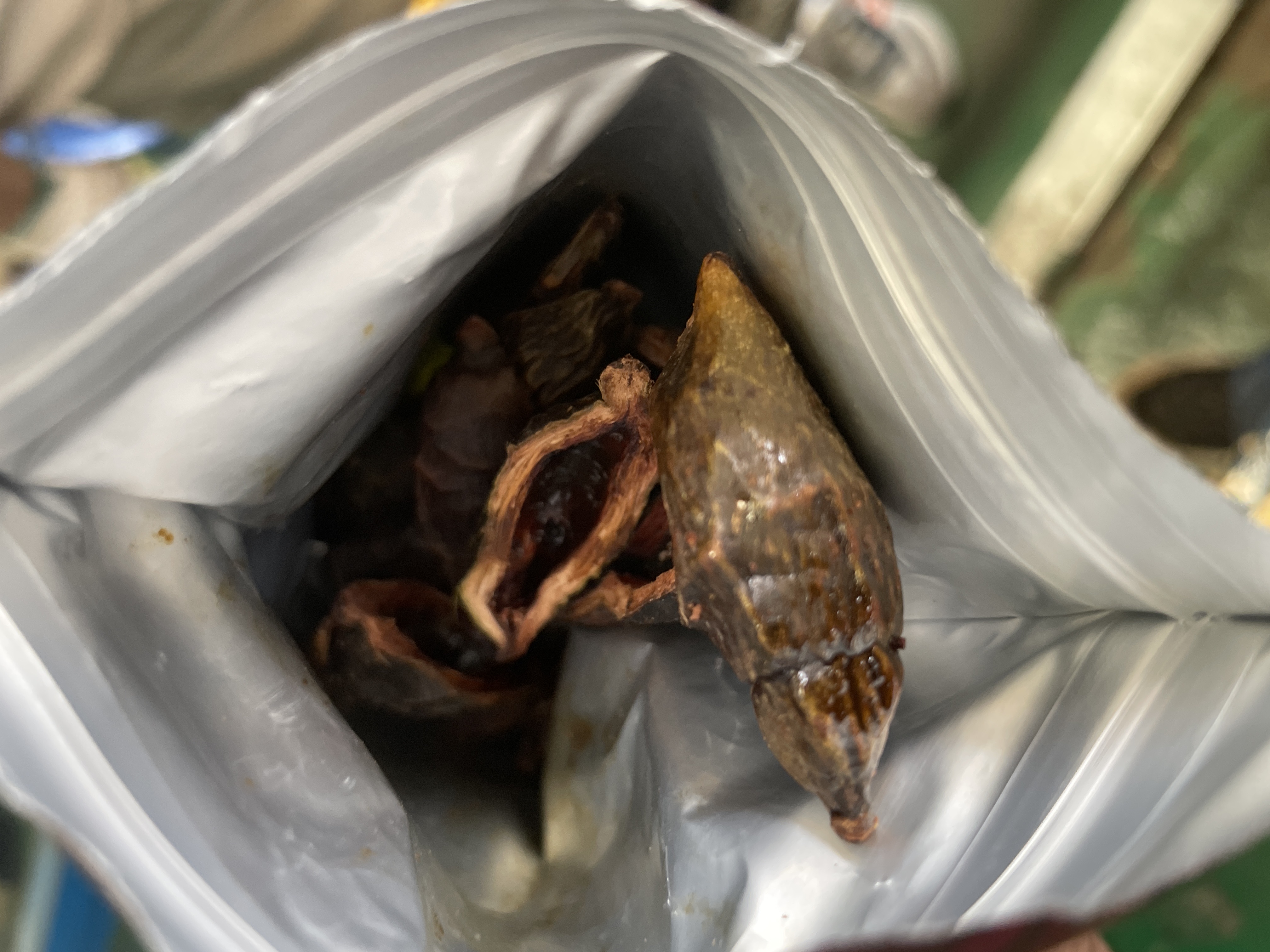 口味王和成天下槟榔