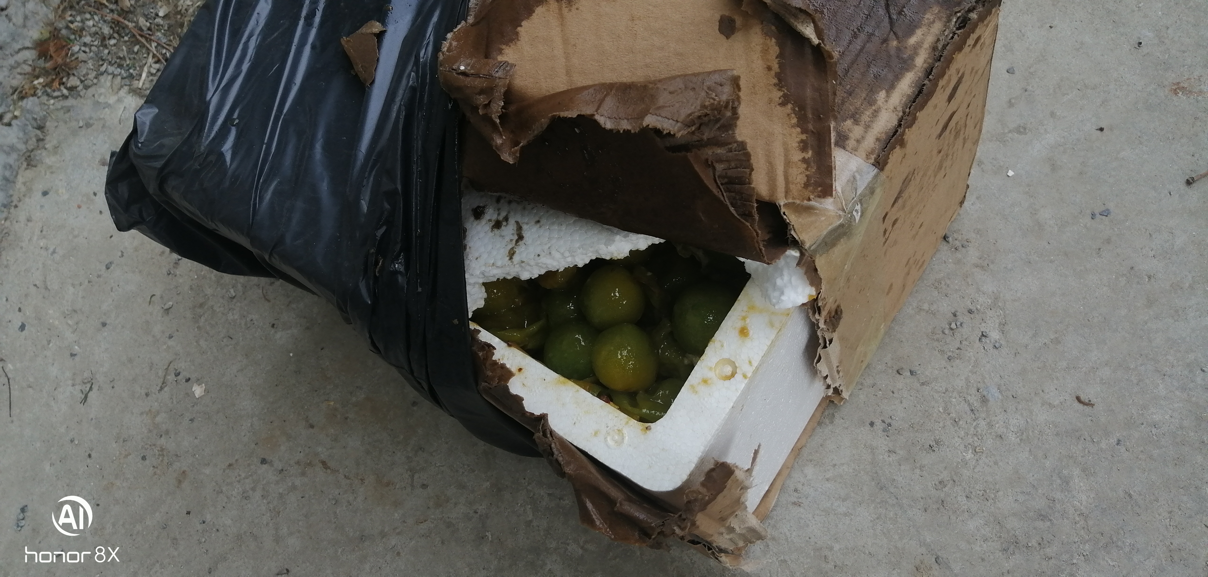 物流速度太慢好水果全部烂掉