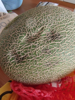 21在美团优选下单一个精选哈密瓜,8.22号早上订单出库,8.