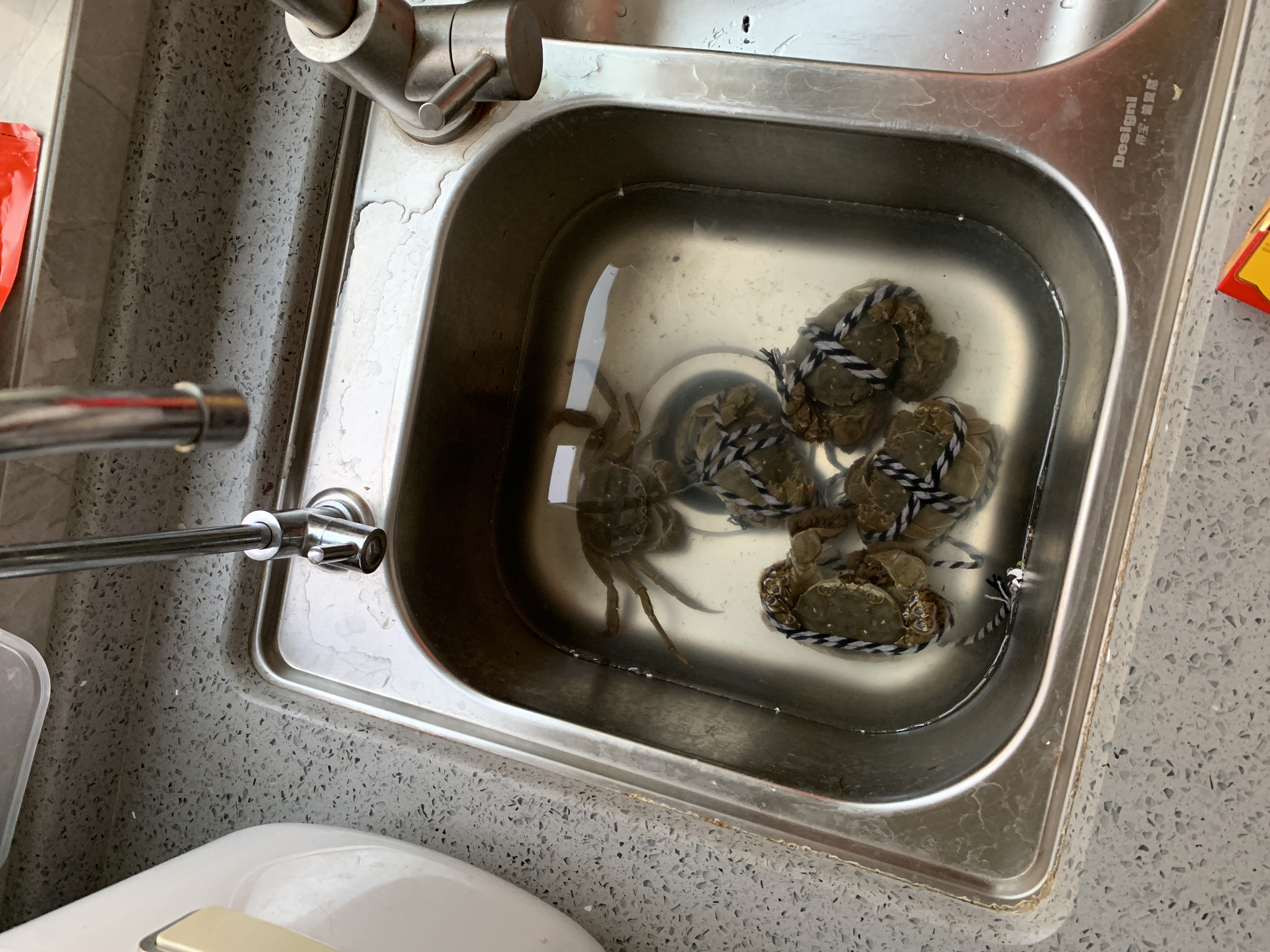 买的8只螃蟹回来死了3只都臭了剩下的5只两只小的可怜打客服根本没人