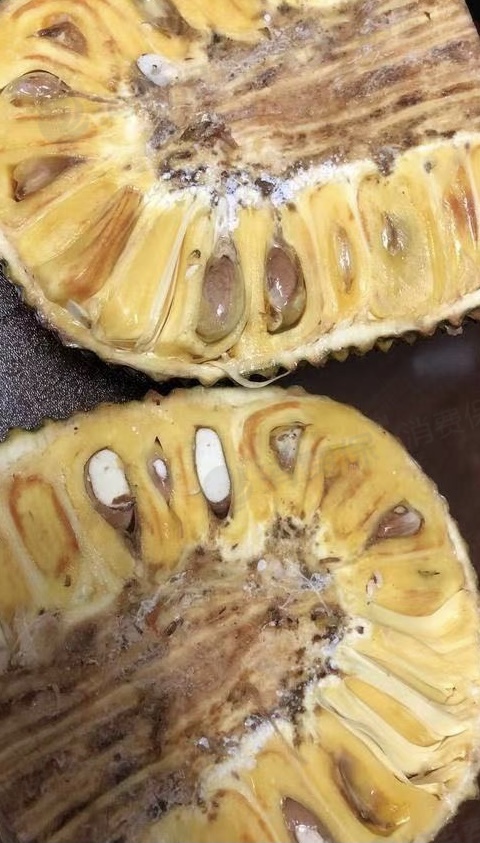 菠萝蜜烂掉的图片图片