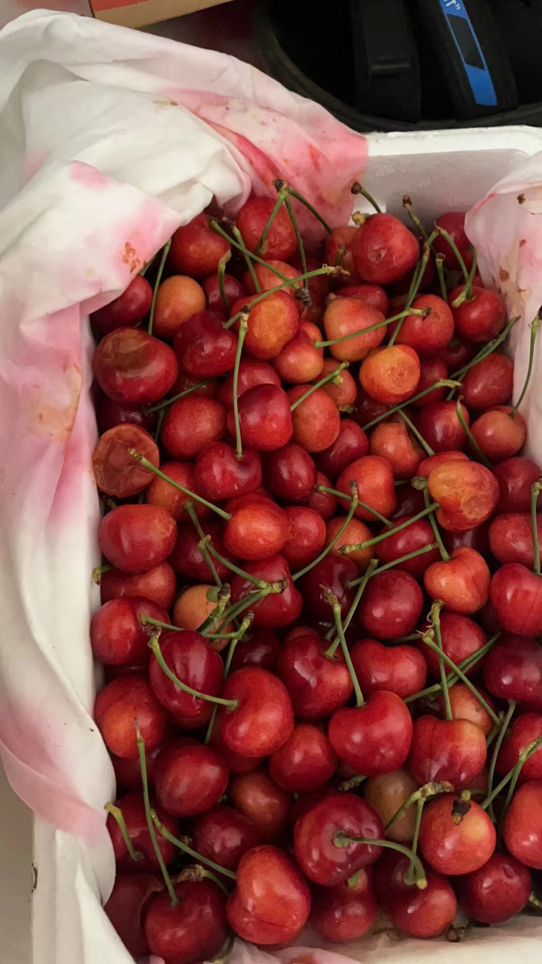 樱桃烂了,不给理赔._京东物流客服售后投诉维权中心-315消费保